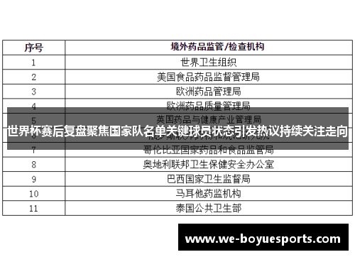 世界杯赛后复盘聚焦国家队名单关键球员状态引发热议持续关注走向